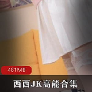 绅士福利！快手美腿主播西西JK精编版，高能名场面，481MB